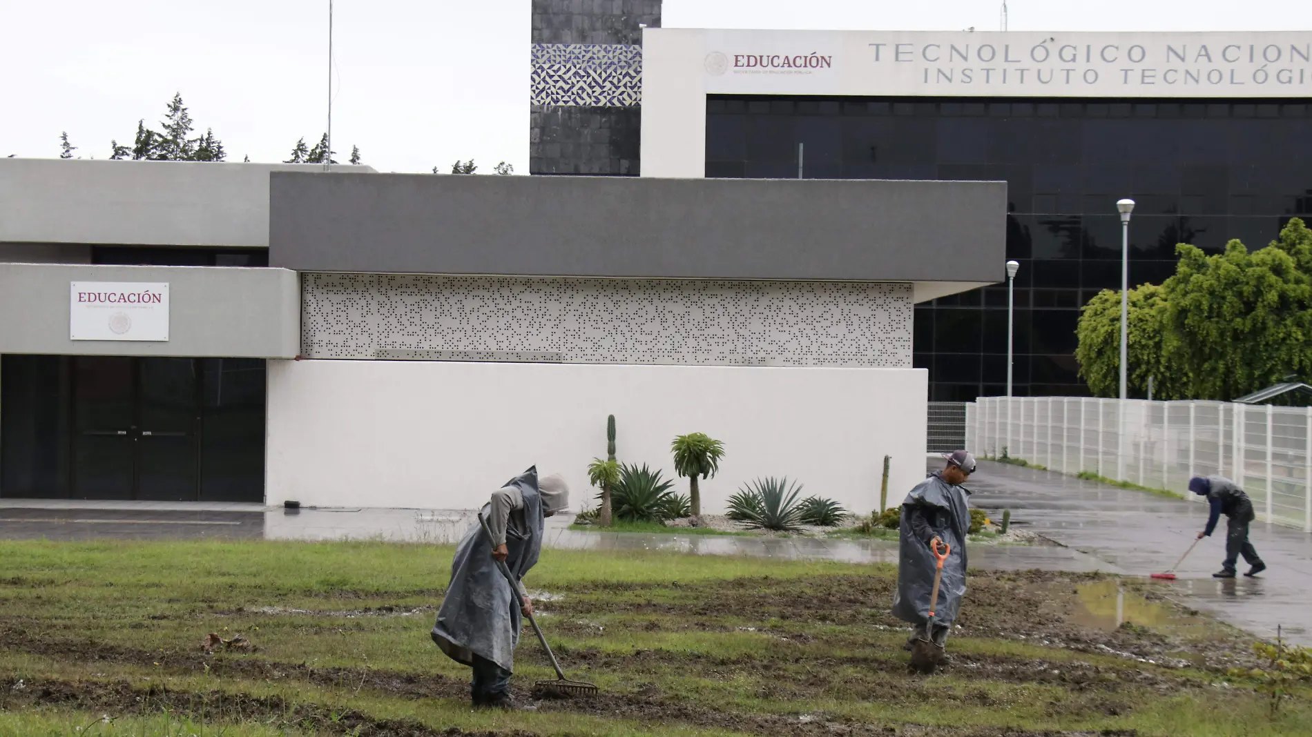 SEP FEDERAL - ERIK GUZMÁN